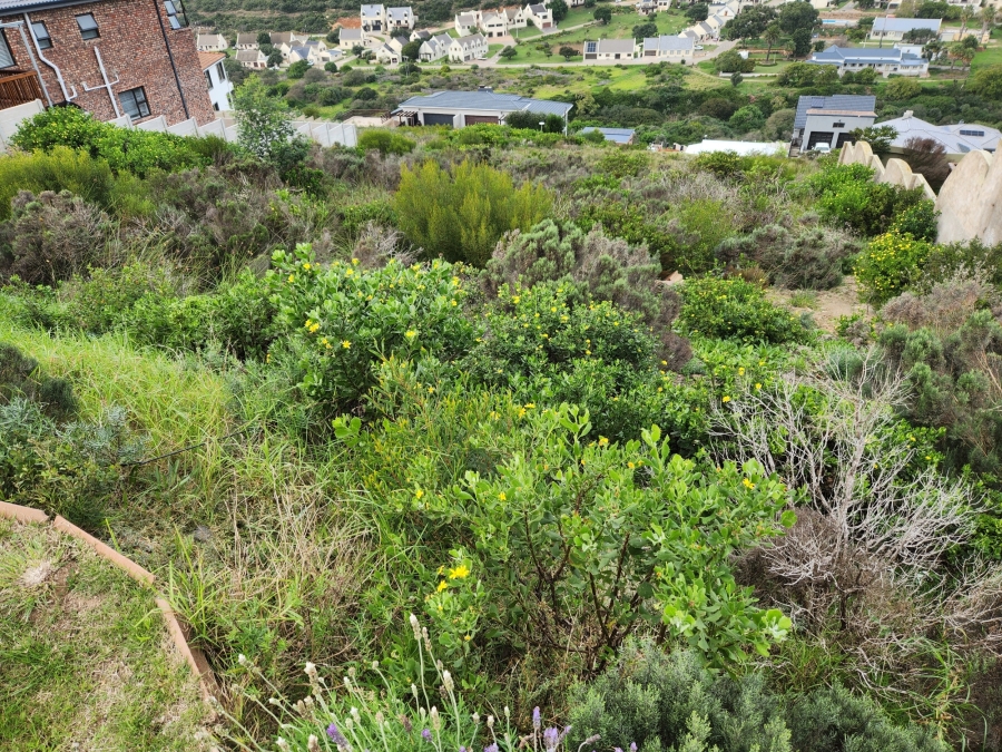 0 Bedroom Property for Sale in Island View Western Cape